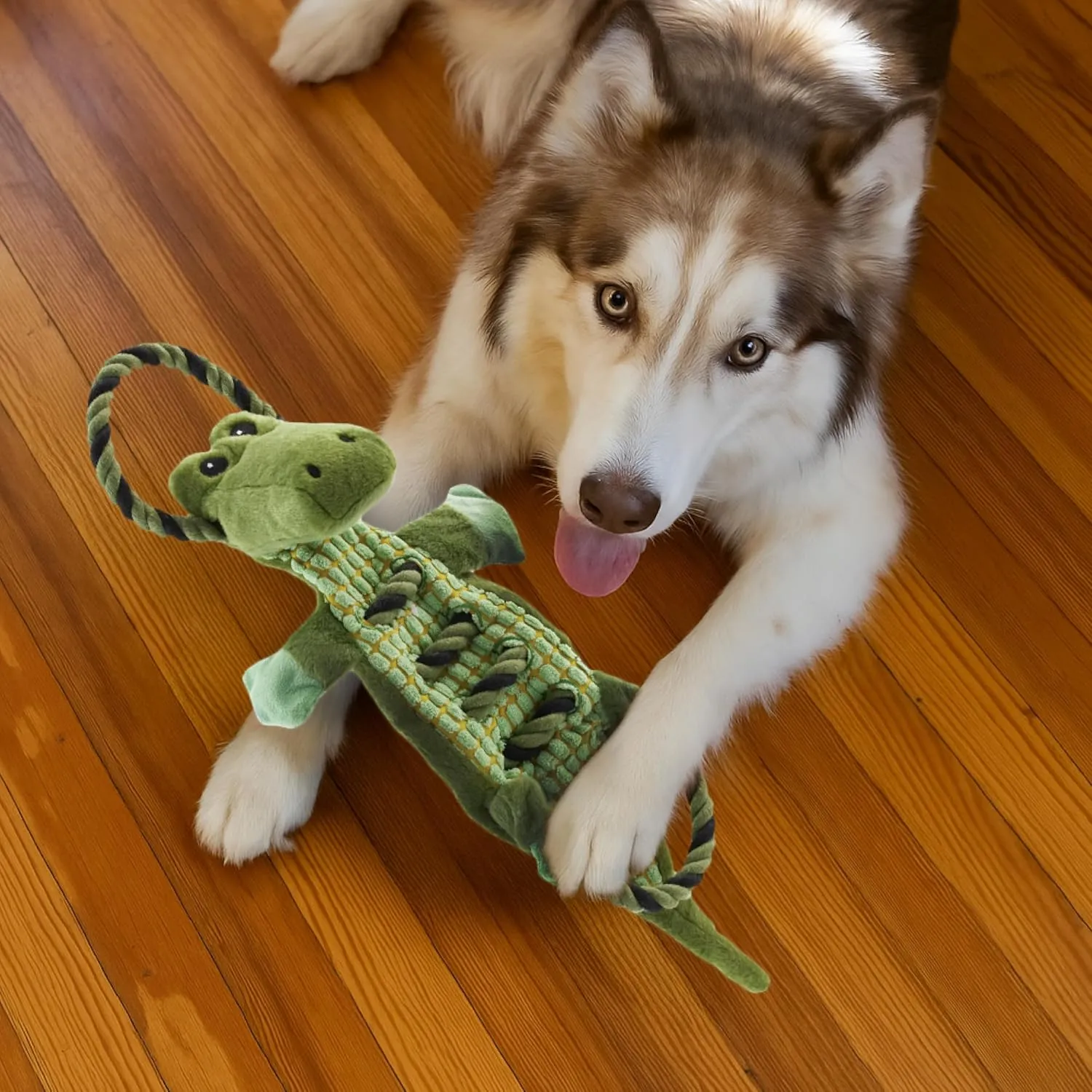 Outward Hound by Charming Pet Ropiez Rope Interactive Dog Tug Toy for Tugging Squeaky Fun, Gator, Green