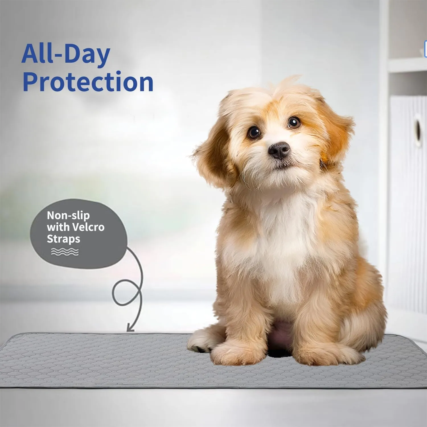 Pee Pad Dog Car Seat Cover