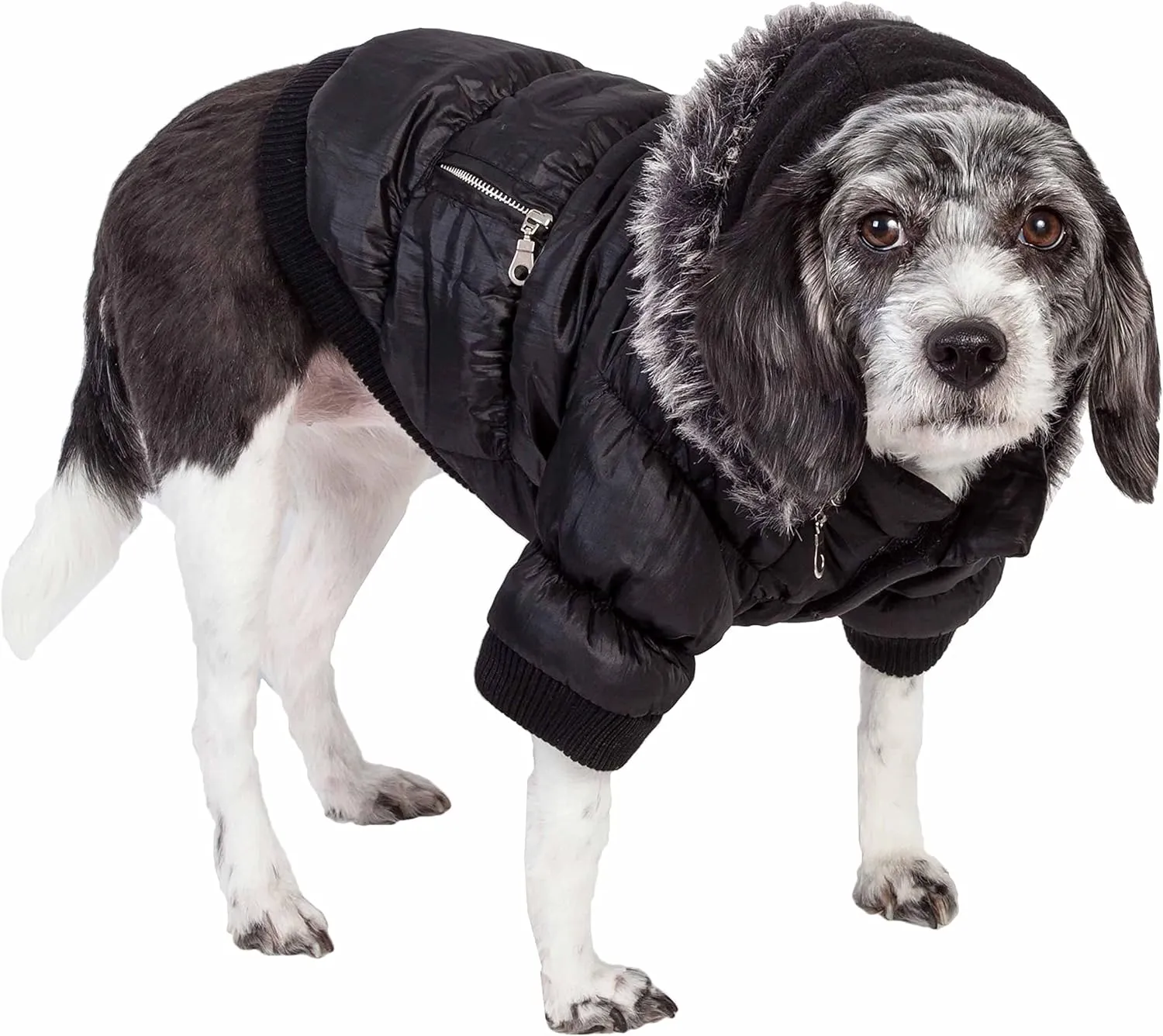 PET LIFE Classic Metallic Fashion Pet Dog Coat Jacket Parka w/ 3M Insulation and Removable Hood, Small, Jet Black