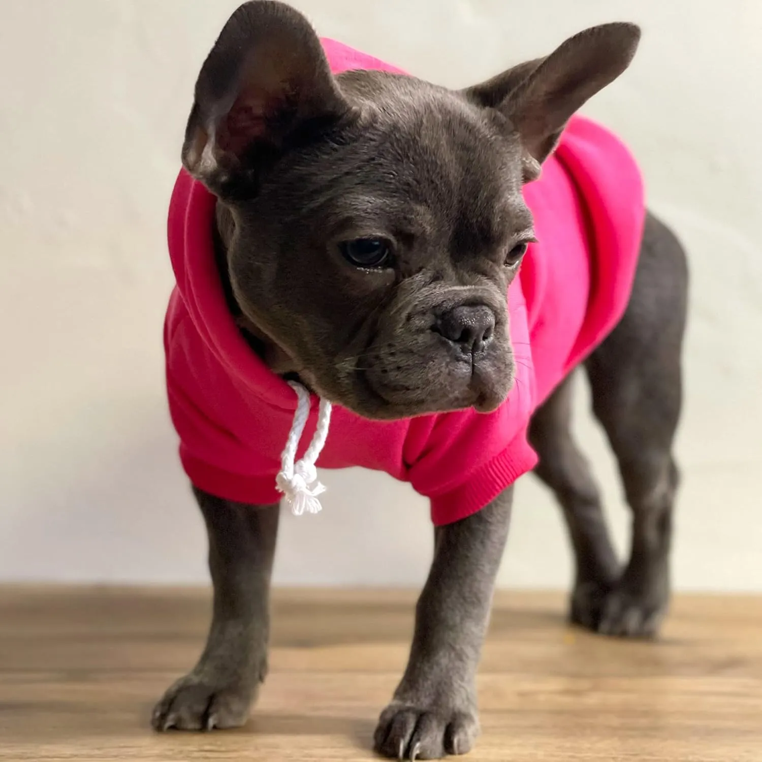Pink Or Blue We Love You Dog Hoodie Fleece Lined Pullover Sweatshirt with Leash Hole (Cream, Small 824)