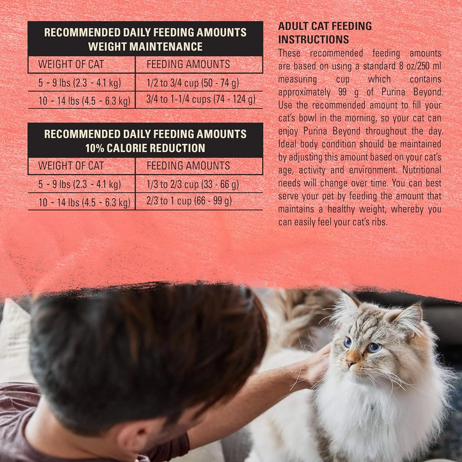 Purina Beyond Grain Free, Natural Dry Cat Food, Simply Indoor Salmon, Egg & Sweet Potato Recipe - 5 lb. Bag (Pack of 2)