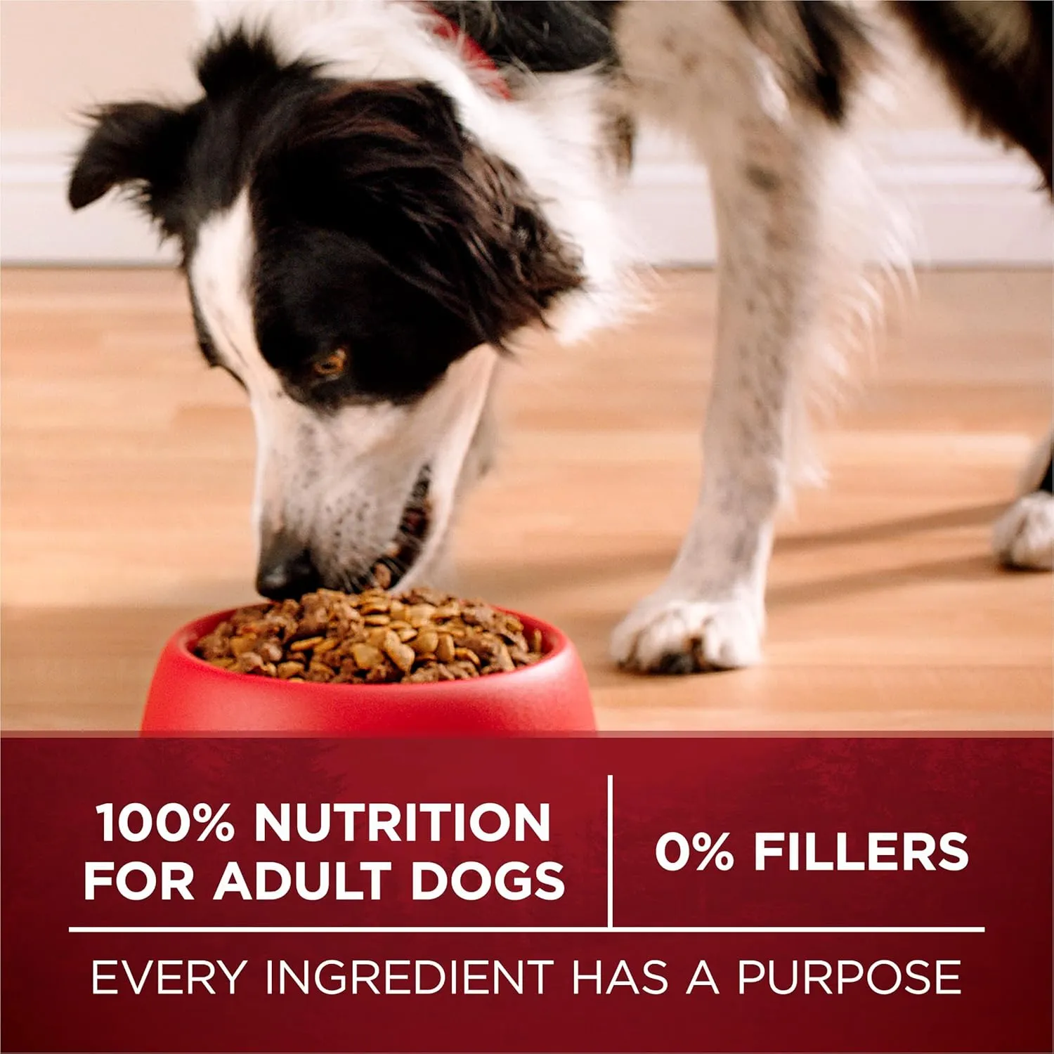Purina ONE True Instinct With A Blend Of Real Turkey and Venison Dry Dog Food - 7.4 lb. Bag