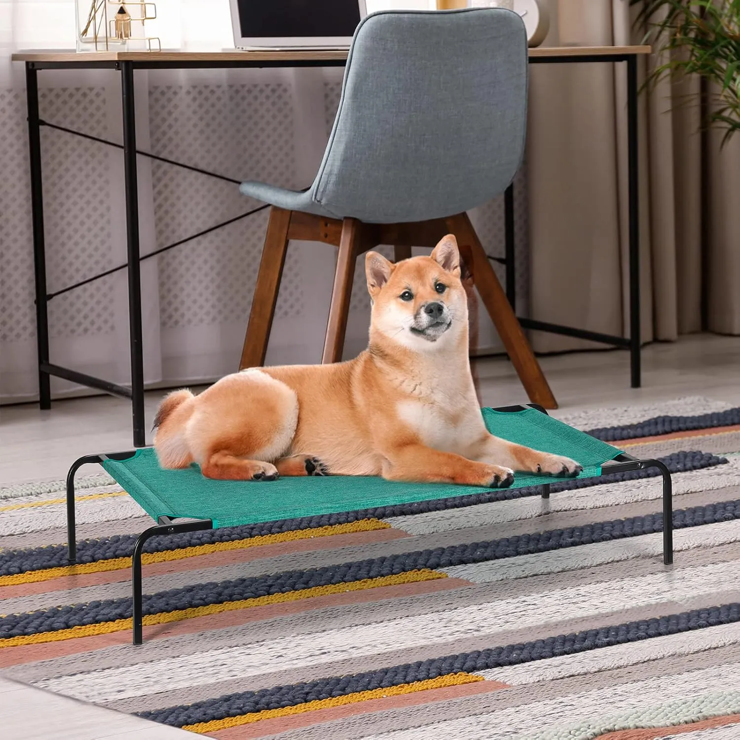 Raised Ped Bed Elevated Dog Bed for Small Medium Pets Indoor Outdoor Portable Dog Cot Waterproof Cat Bed with Metal Frame, Green