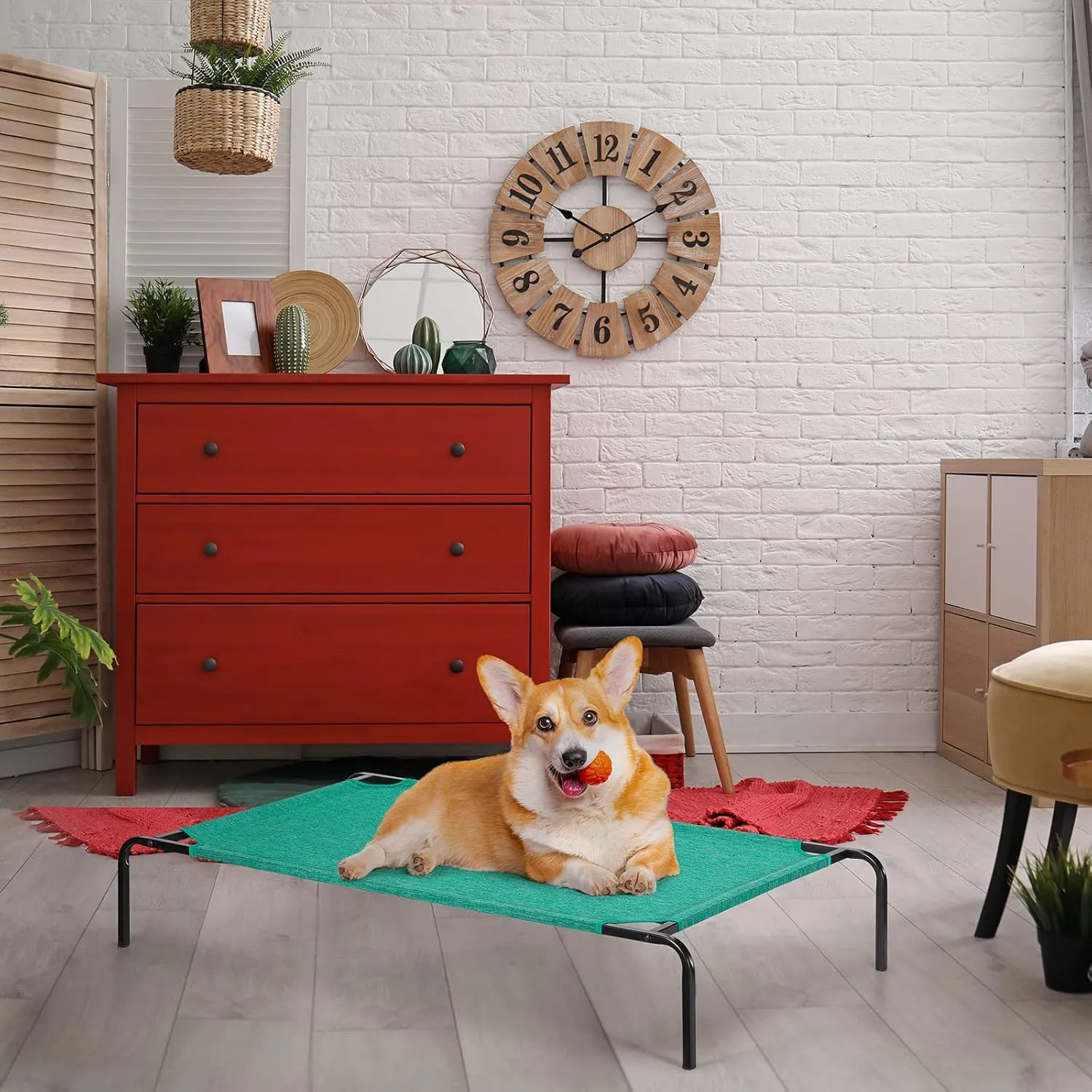 Raised Ped Bed Elevated Dog Bed for Small Medium Pets Indoor Outdoor Portable Dog Cot Waterproof Cat Bed with Metal Frame, Green