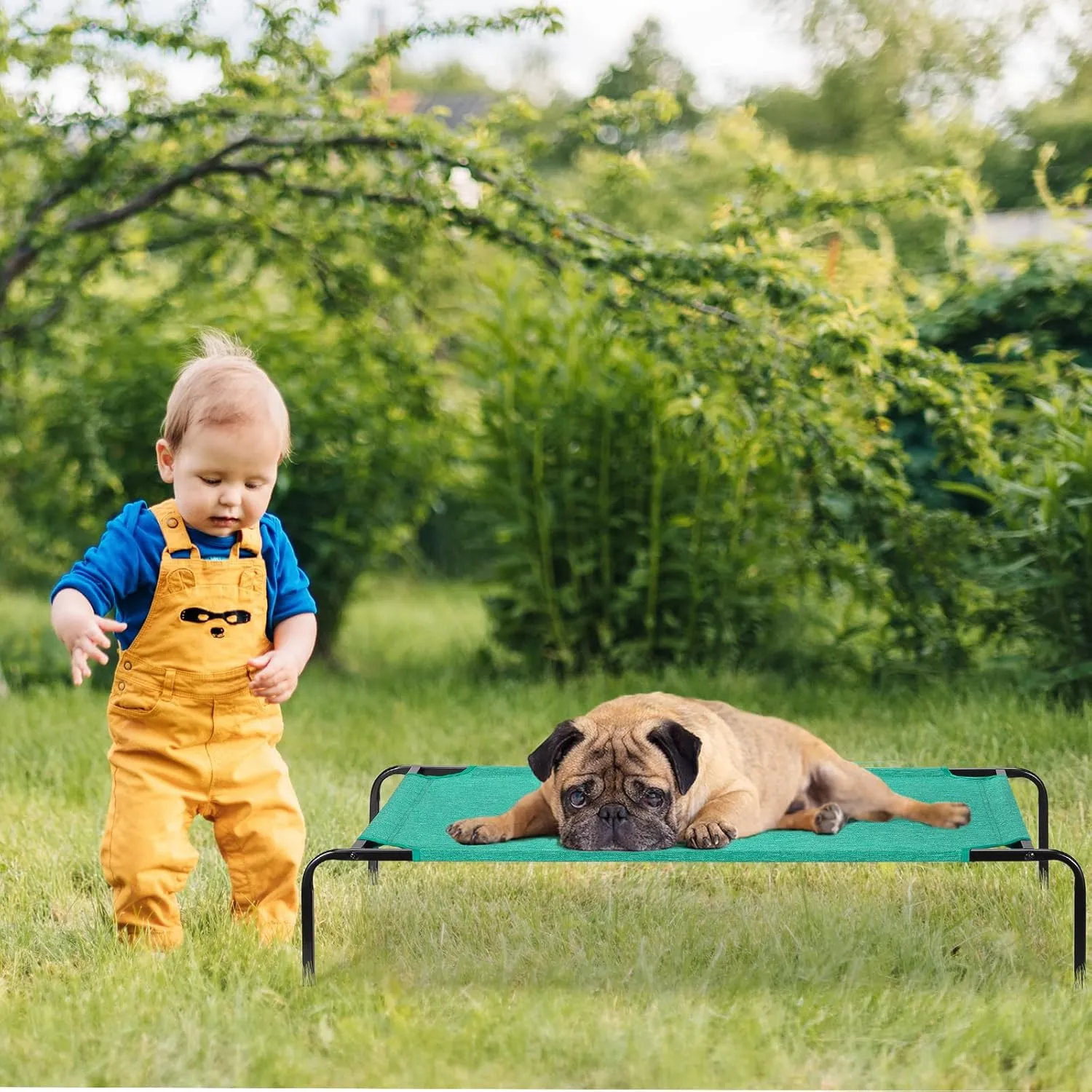 Raised Ped Bed Elevated Dog Bed for Small Medium Pets Indoor Outdoor Portable Dog Cot Waterproof Cat Bed with Metal Frame, Green