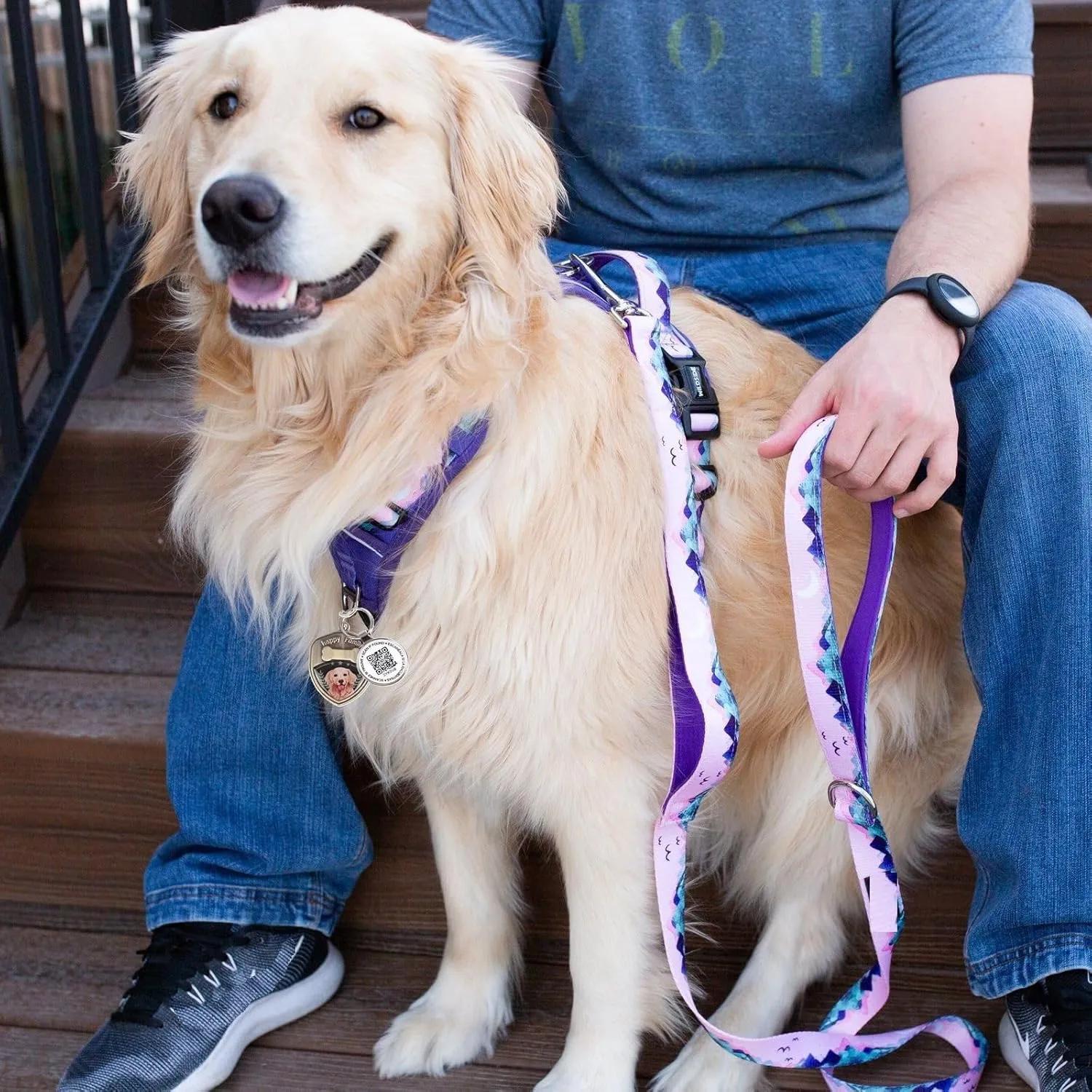 Retro Dog Tag Personalized QR Code, Modifiable Pet Online Profile, Multiple Emergency Contact, (Golden Retriever-2)