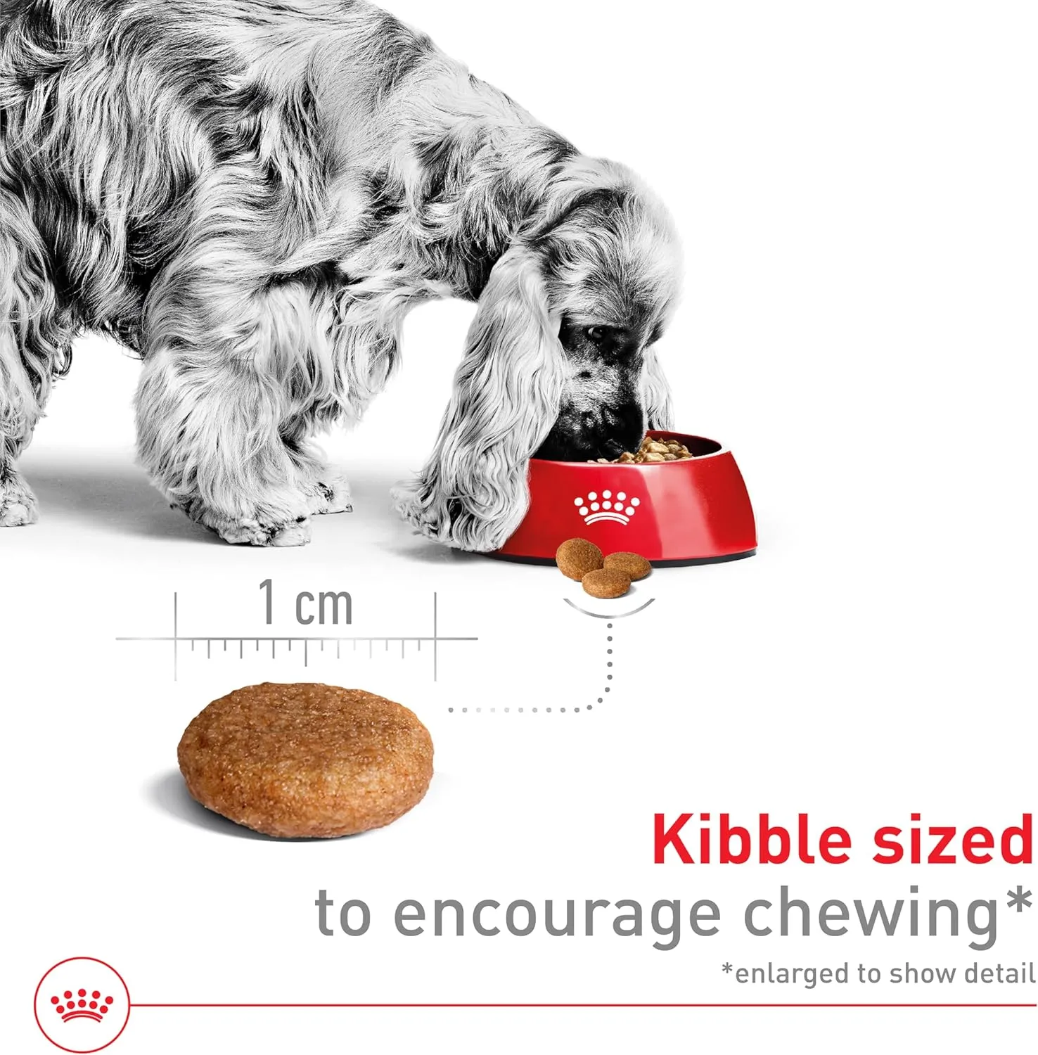 Royal Canin Size Health Nutrition Medium Adult Dry Dog Food, 17 lb bag