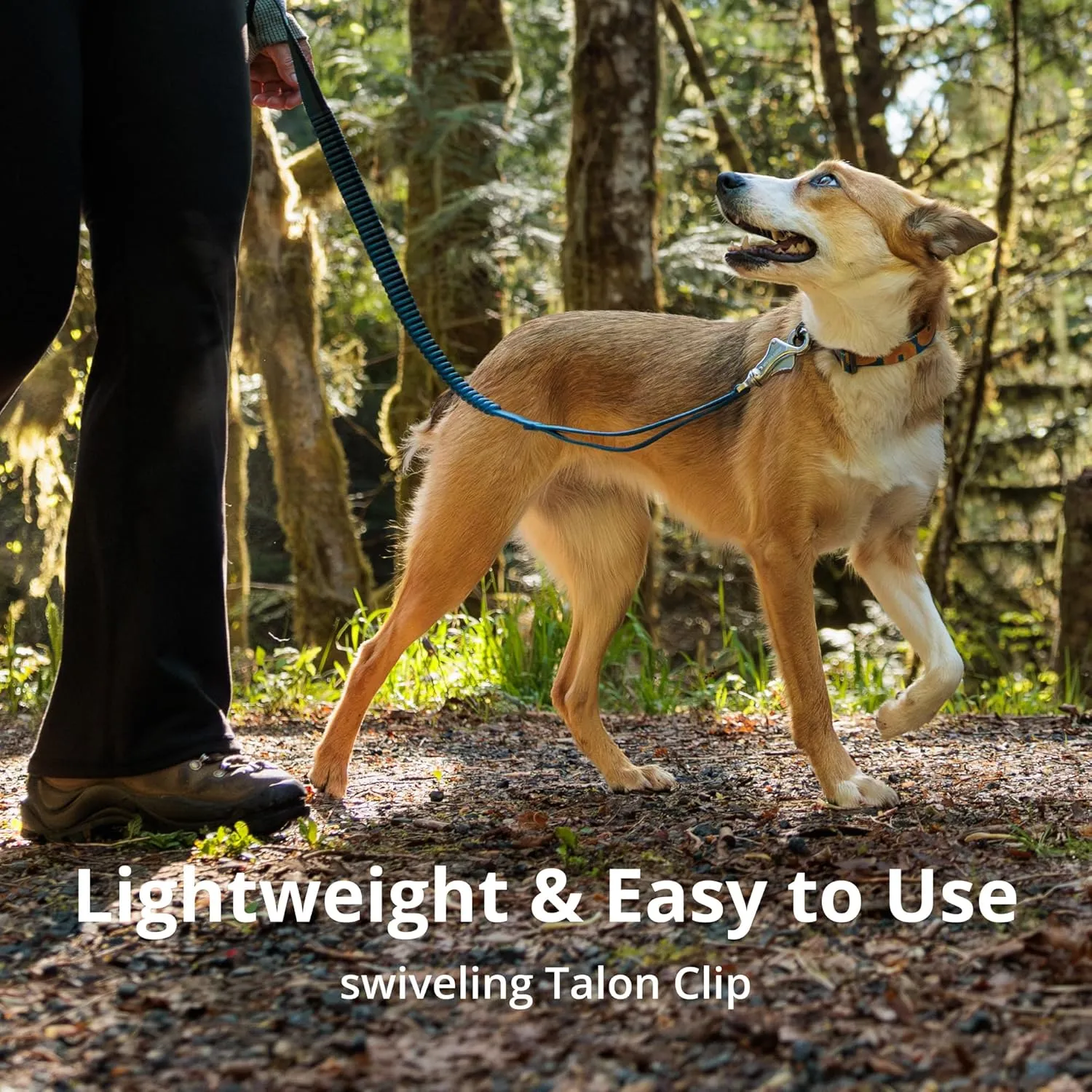 Ruffwear, Roamer Bungee Dog Leash for Running, Biking or Hiking, Can be Used Hand-Held or Hands-Free, River Rock Green, 5.5'-7'