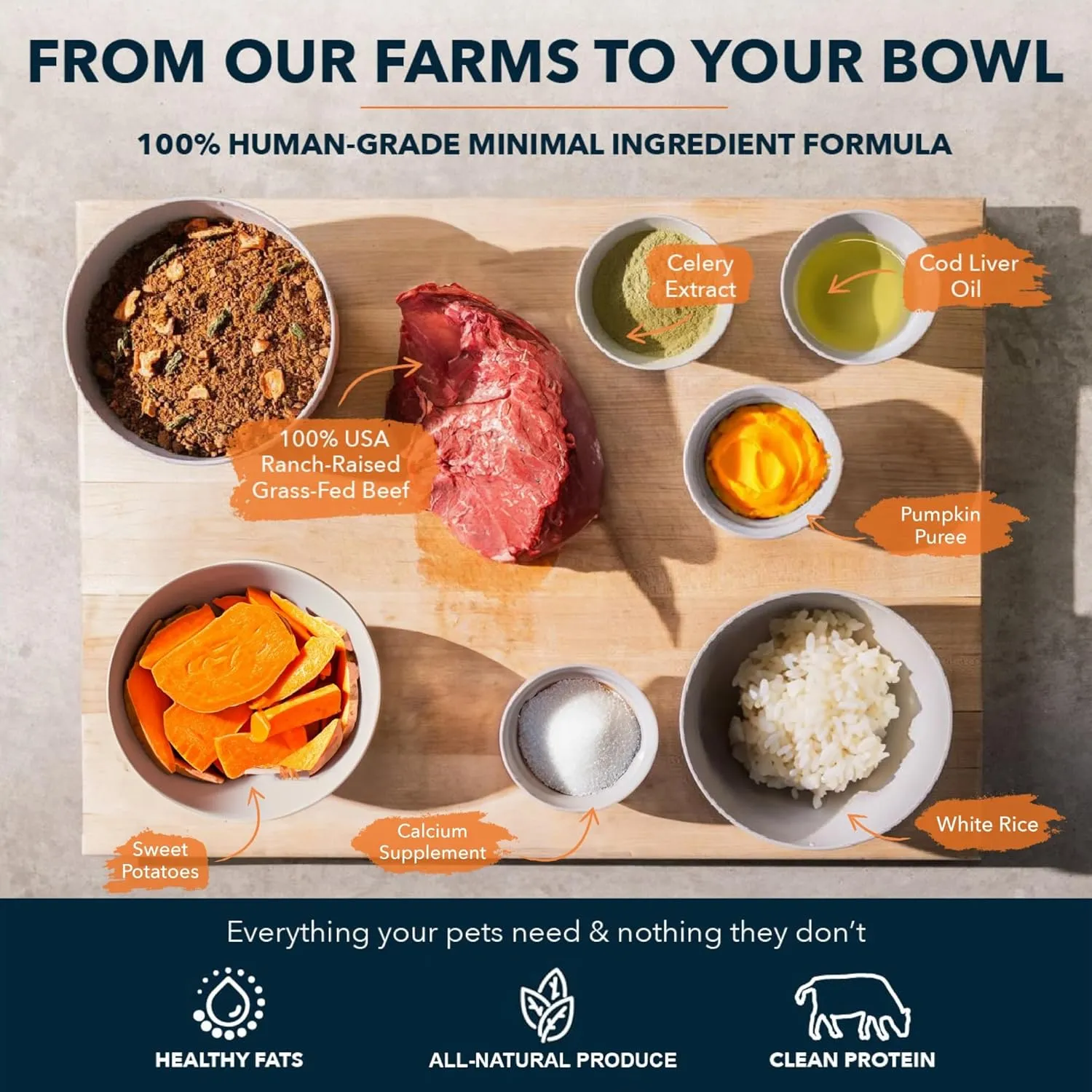 Sensitive Stomach Dog Food - 100% Human Grade Air Dried Dog Food - All Natural - USA Grass Fed Beef - Limited Ingredient, Dehydrated - Complete Meal or Topper  Beef - Sample Bag