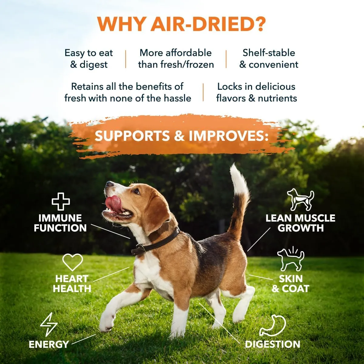 Sensitive Stomach Dog Food - 100% Human Grade Air Dried Dog Food - All Natural - USA Grass Fed Beef - Limited Ingredient, Dehydrated - Complete Meal or Topper  Beef - Sample Bag