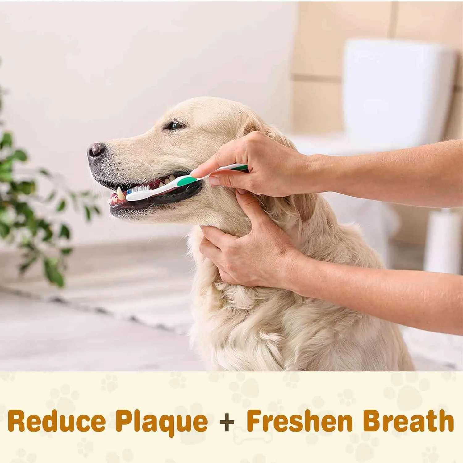 Toothpaste | Teeth Cleaning and Fresh Breath Dental Care for Bullador and Other Mixed Breed Dogs | Soothes Inflamed Gums | Safe for Puppies | Vet Formulated 2 Pack (4.8 OZ)