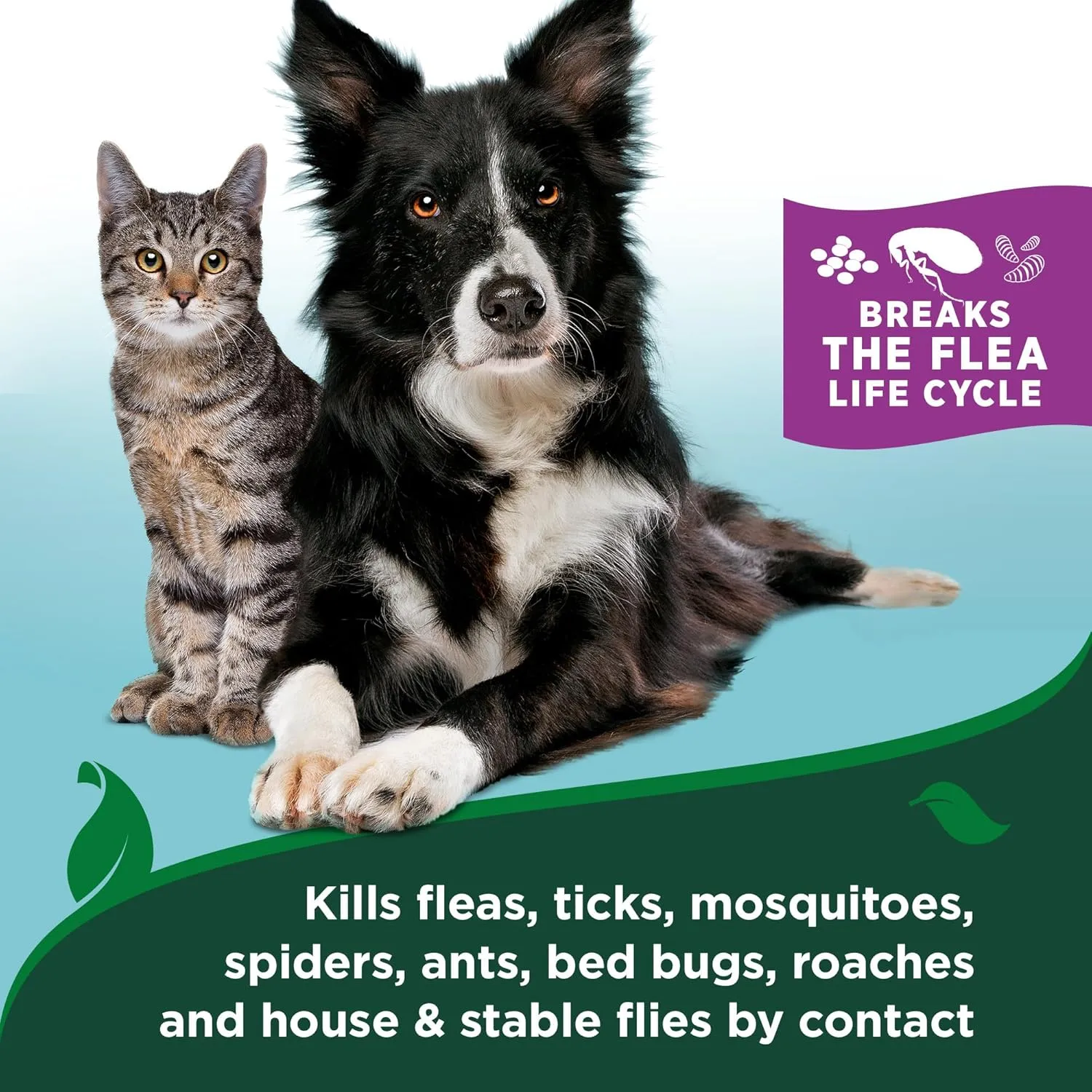 Vet's Best Flea and Tick Gentle Mist for Cats  Cotton Spice Scent  Plant-Powered Flea and Tick Prevention  Pest Protection for Pets  Gentle Spray  6.3oz