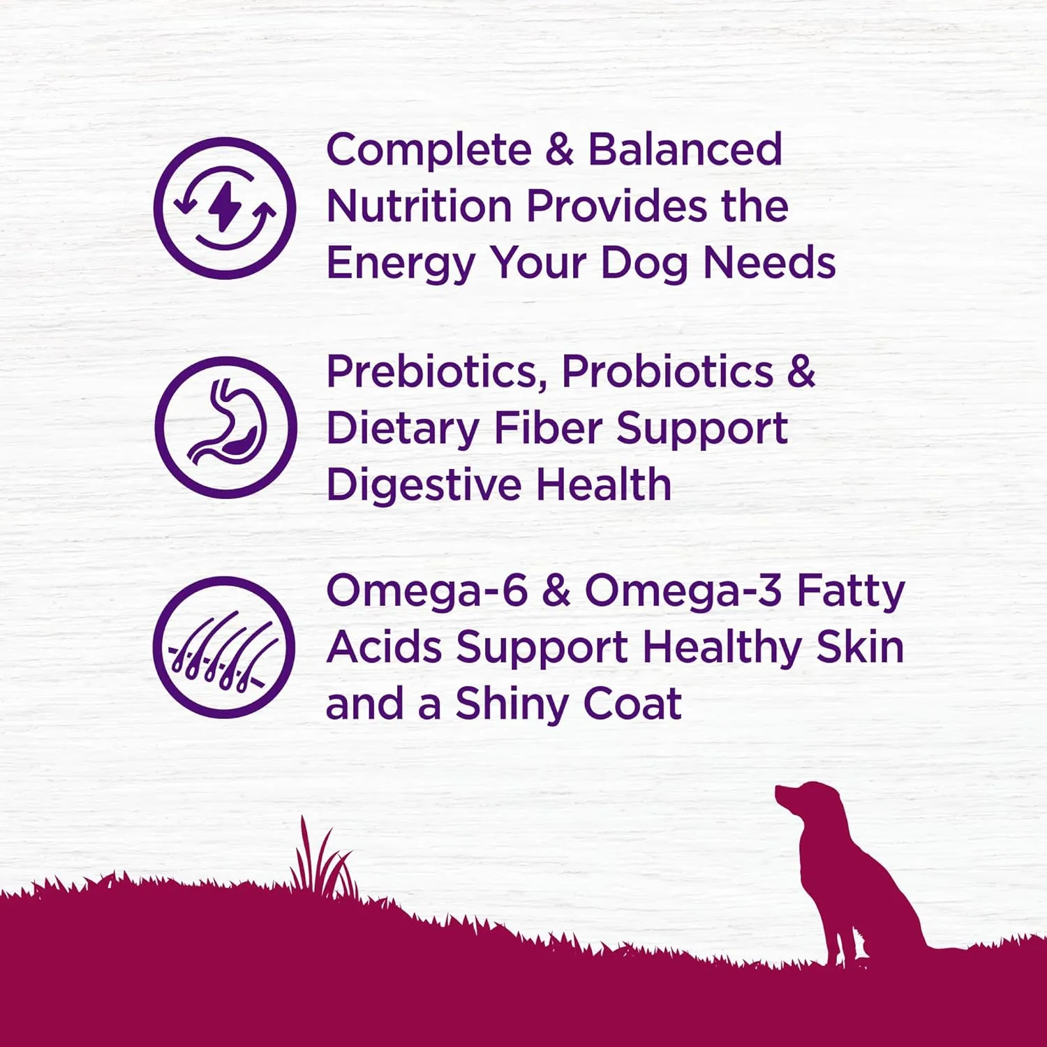 Wellness Complete Health Dry Dog Food, Small Breed, Grain Free, Natural, Turkey, Chicken, & Salmon Recipe (11-Pound Bag)