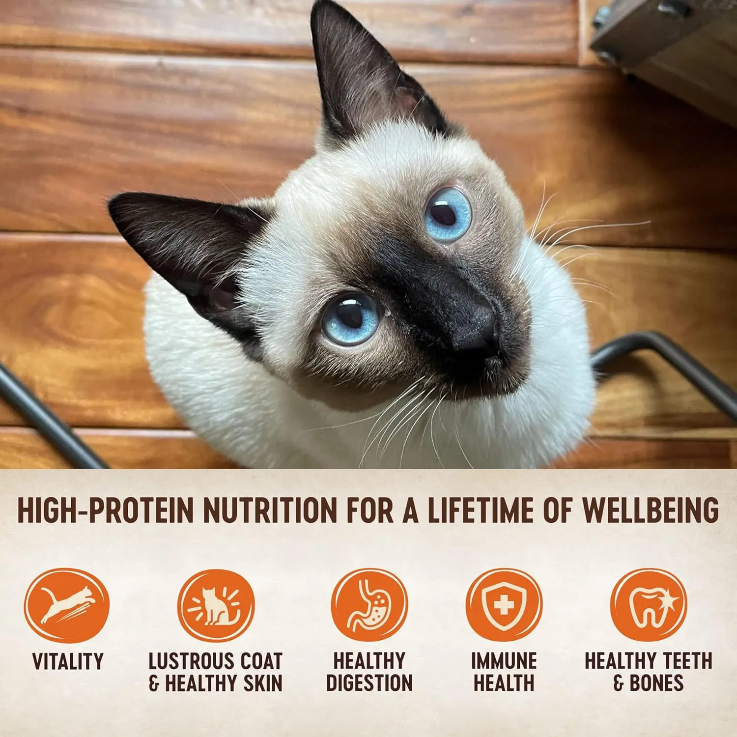 Wellness CORE Signature Selects Flaked Adult Wet Cat Food, Natural, Protein-Rich, Grain Free, 5.3 Ounce, 12 Pack (Skipjack Tuna & Wild Salmon)