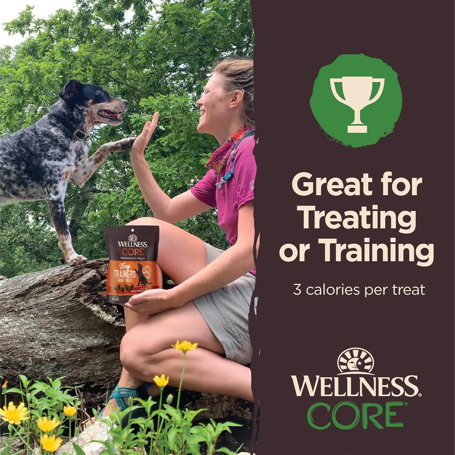 Wellness CORE Tiny Trainers Dog Treats, Natural, Training Treat, Grain Free, Lamb & Apple (6 Ounce Bag)
